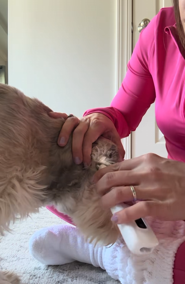 Electric Pet Hair Trimmer