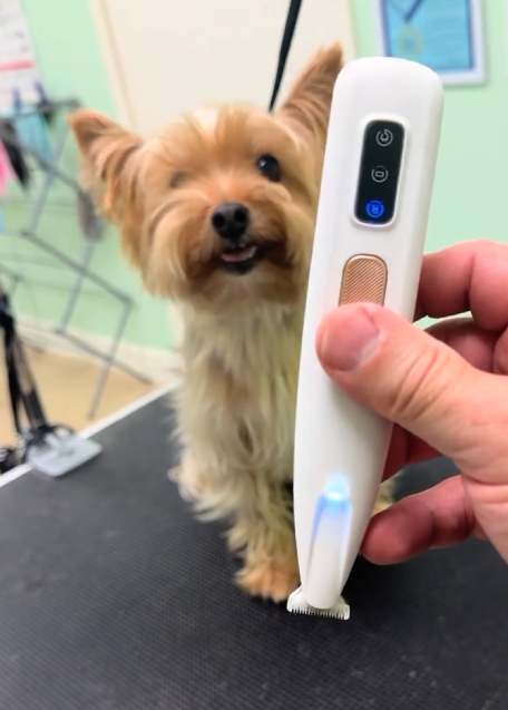 Electric Pet-Hair Trimmer